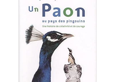 Un paon dans un monde de pingouins